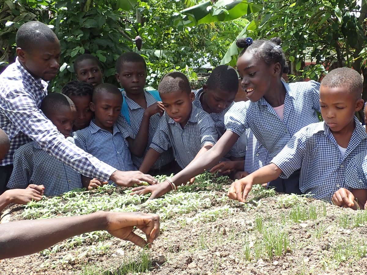 Projektland Haiti